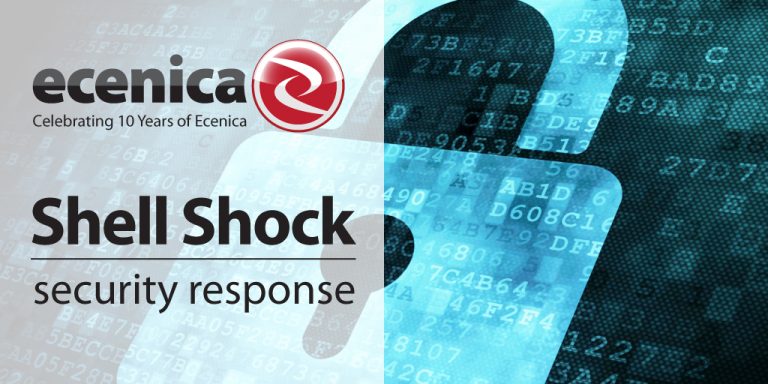 shellshock bash bug ecenica security response