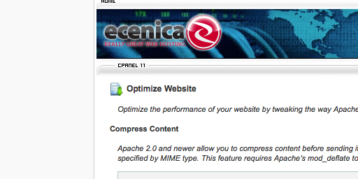 Ecenica cPanel Hosting Optimize Website