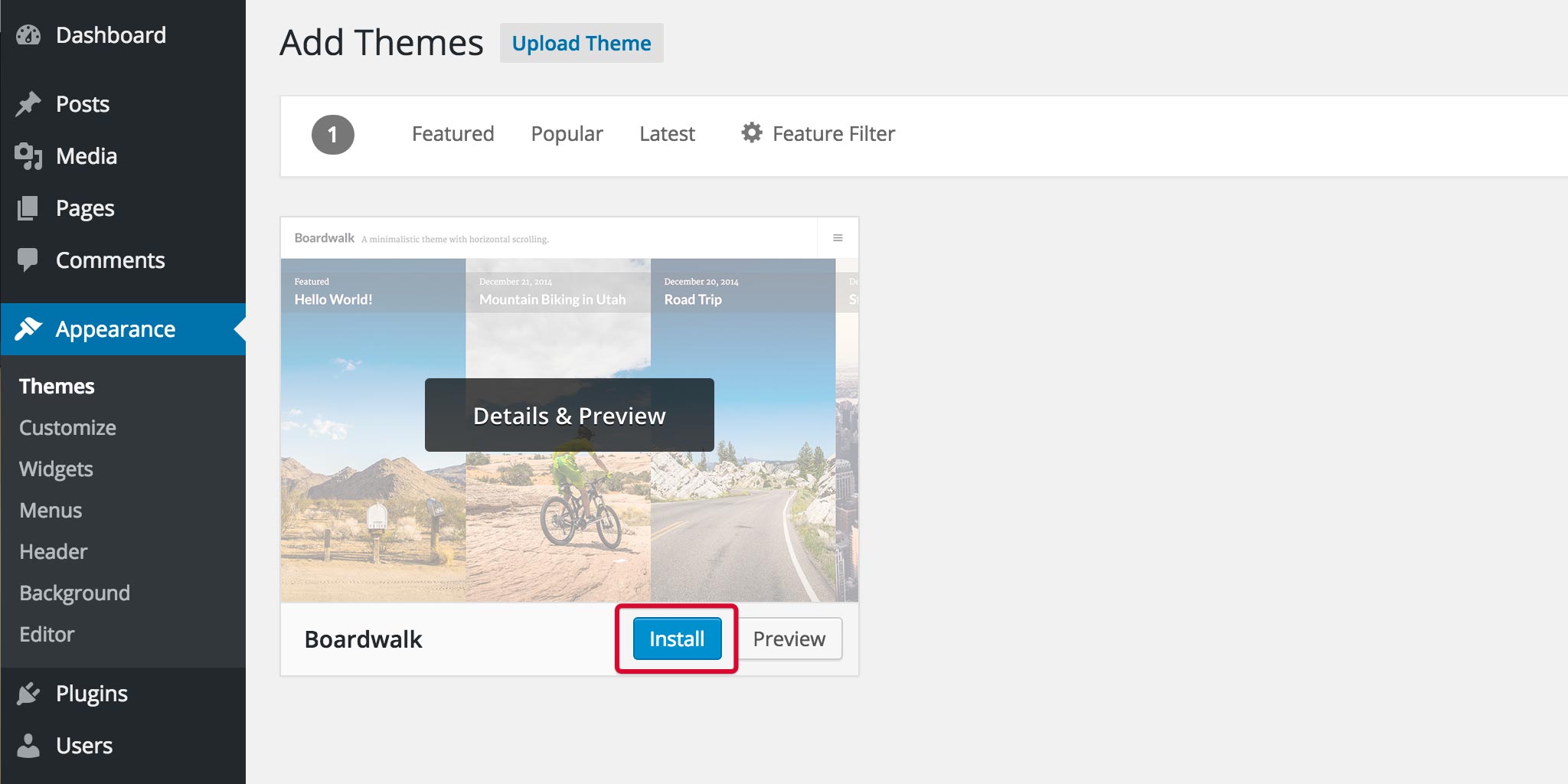 Install your WordPress theme