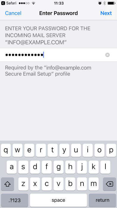 setup email iphone enter password