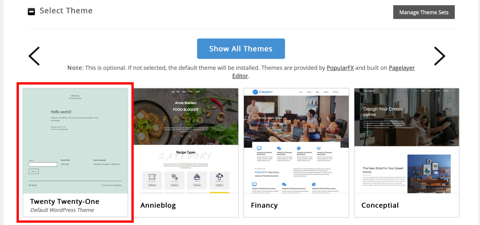 WordPress Manager Install select theme