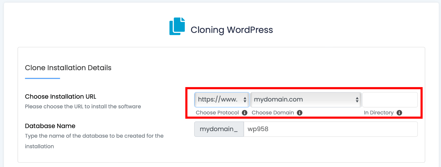 Chose protocol and domain for your WordPress clone