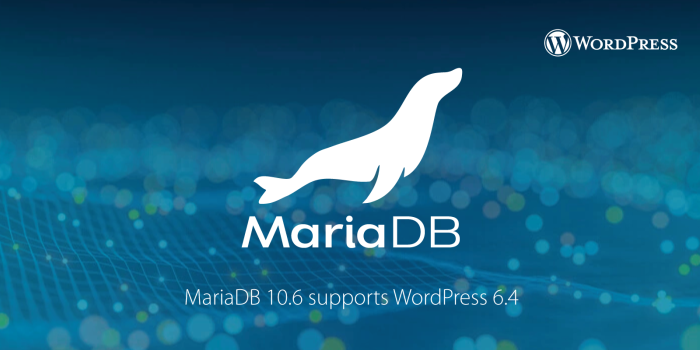 maria db version 10 6