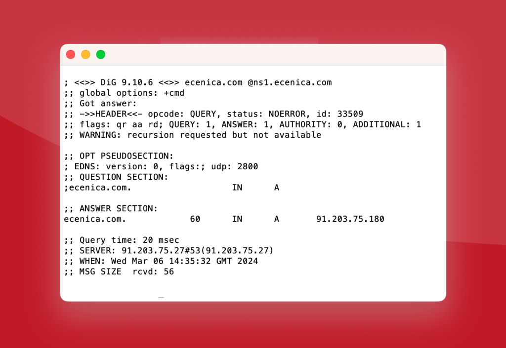 Terminal window showing fast dig time to new Ecenica DNS