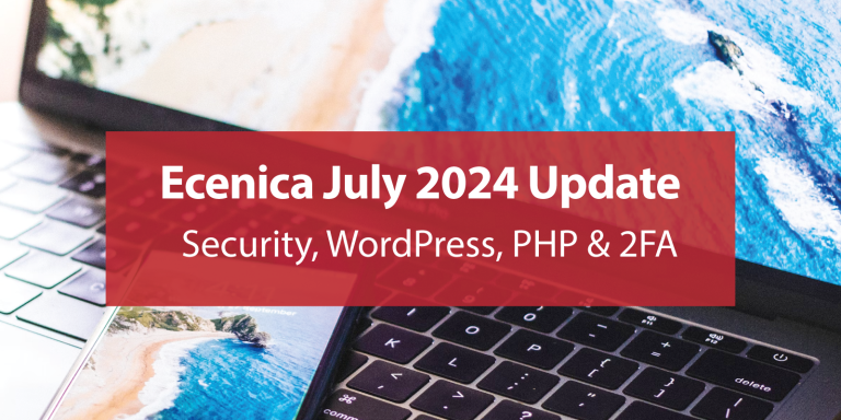 ecenica summery update july 2024