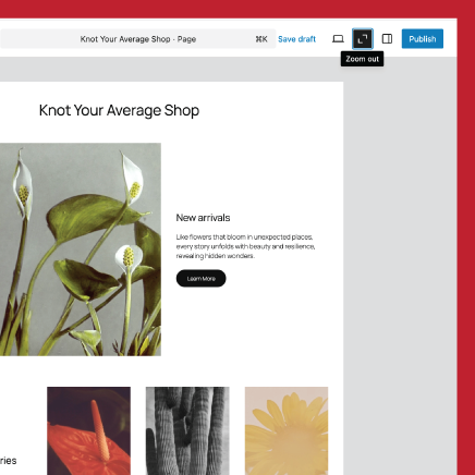 WordPress zoom out feature