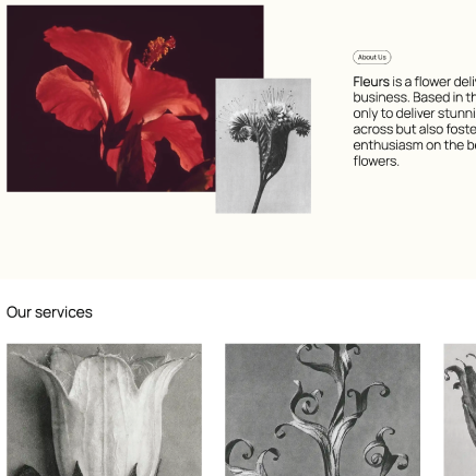 WordPress 2025 theme