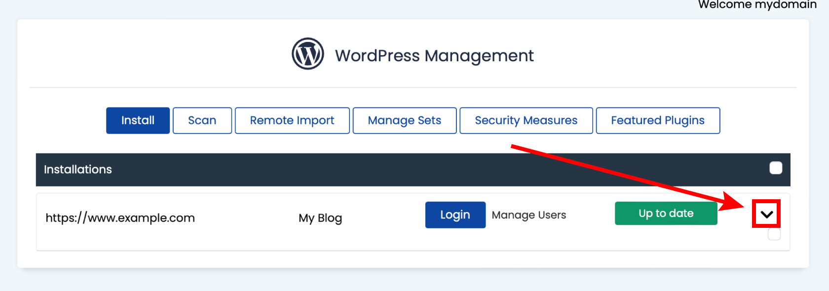 Opening WordPress Manager website options