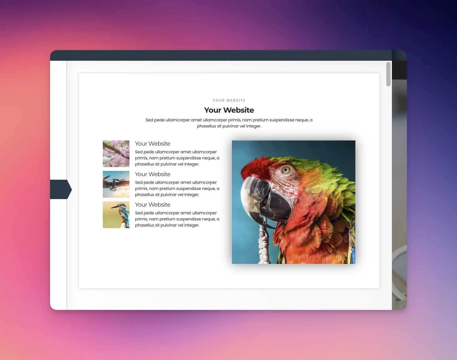 Select from pre-built design elements in Ecenica Website Builder