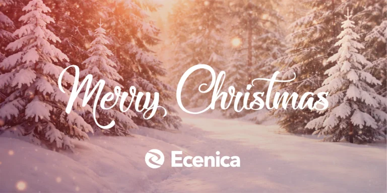 Merry Christmas & Happy New Year 2025
