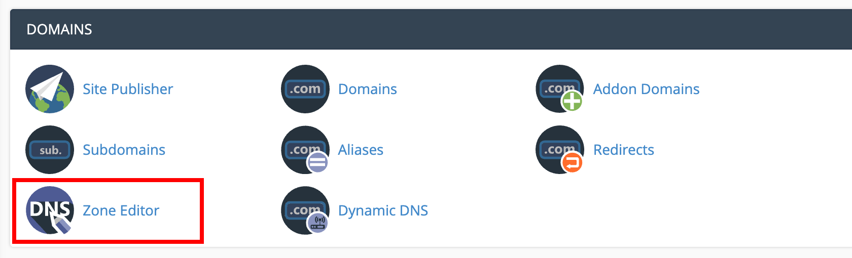 cPanel DNS Zone Editor button